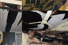 Puttur: Lightning strike destroys house in Bedral, five injured including child